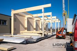 Holzhausbau Lignova Speyer 9